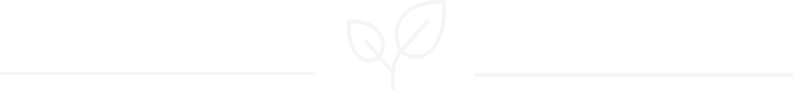 white aesthetic Soul2Soul Psychology Soul2Soul Network